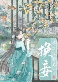换妾宁寗小说