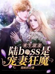 重生甜妻:陆boss是宠妻狂魔TXT下载