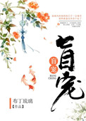 盲宠 布丁琉璃讲什么