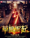 草根崛起主角张家良
