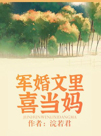 军婚文里喜当妈苏向晚