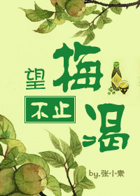 望梅不止渴小说免费阅读无防盗百度云
