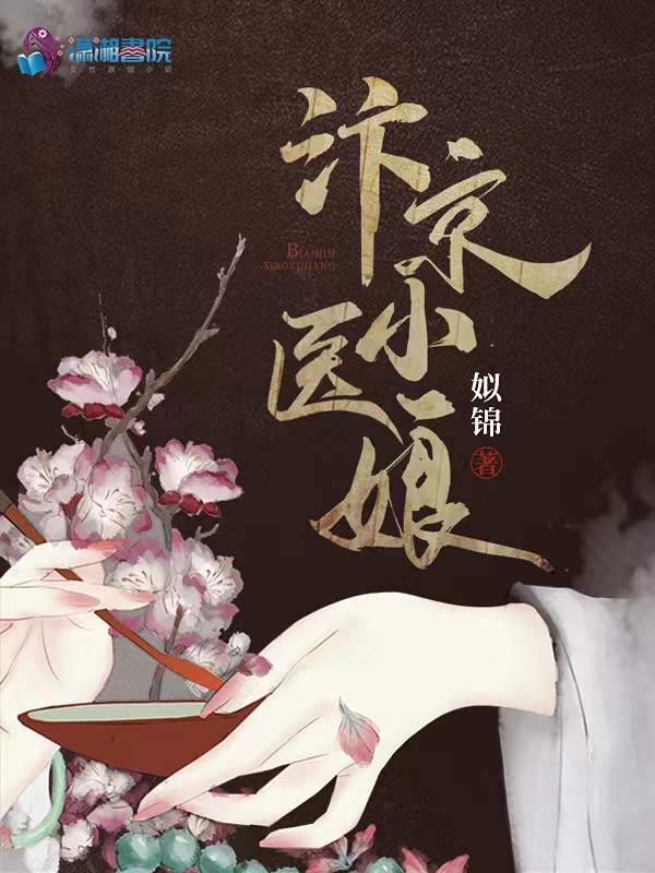 汴京小医娘姒锦TXT百度云下载