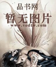 至尊强婿小说最新章节