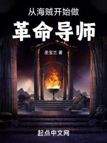从海贼开始的攻略之旅