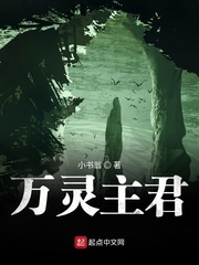万灵主君 小说