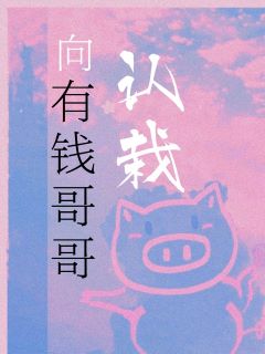有钱哥哥小说
