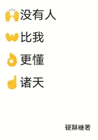 没有人比我更懂强化小说