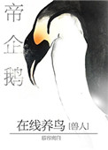 帝企鹅在线养鸟by慕容离白乐文