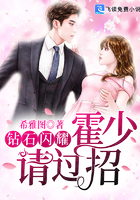 钻石闪耀：霍少,请过招