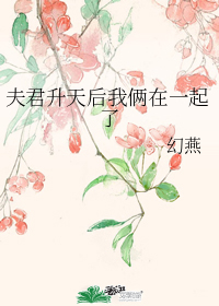 夫君升天后我俩在一起了作者:幻燕