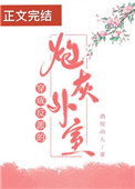 穿成反派的炮灰外室全文阅读