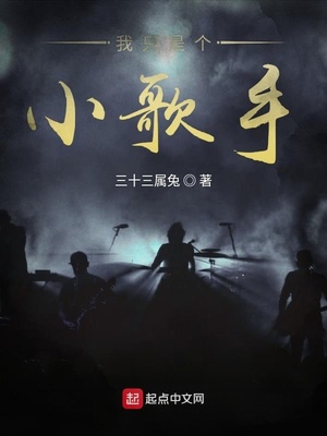 我只是是一名小歌手