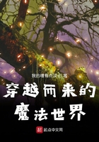 穿越魔法世界动画片