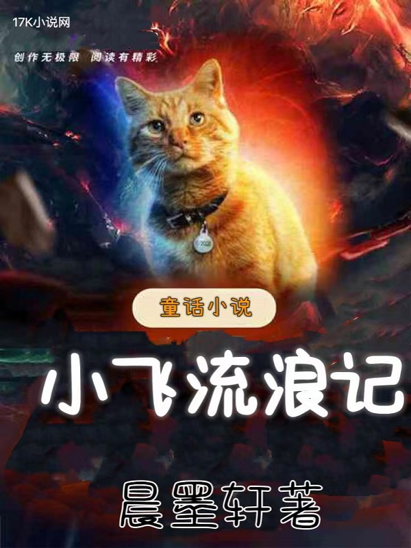 小飞流浪记