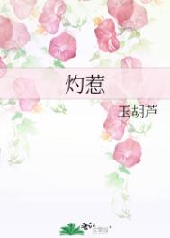 灼惹玉葫芦小说