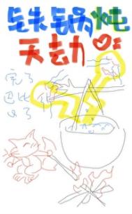 铁锅炖天劫TXT百度云