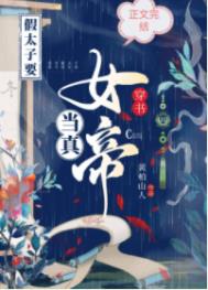 穿越假太子小说