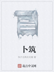 卜筑TXT免费下载