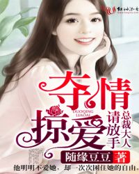 夺情掠爱,总裁大人请放手