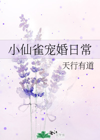 小雀小说免费阅读