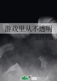 怎么设置透明游戏名