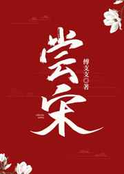 尝宋（美食）