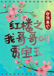 红楼之我哥哥叫贾宝玉