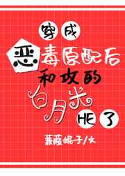 穿成恶毒原配后和攻的白月光he了网盘