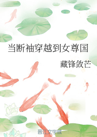 当断袖穿越到女尊国