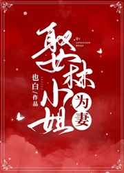 娶林小姐为妻