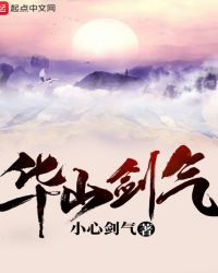 华山剑气