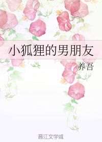 小狐狸的男朋友