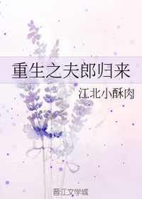 重生之夫郎归来txt书包网