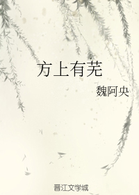方上有芜魏阿央