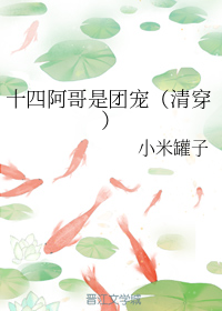 十四阿哥是团宠（清穿）