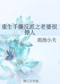 重生手撕反派之老婆很撩人