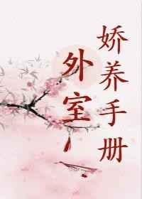 外室娇养手册陈留