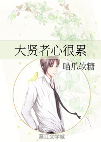 大贤者心很累小说