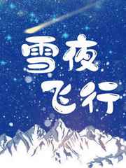 雪夜飞行