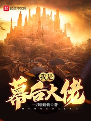 我是幕后大佬书评