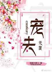 女尊之宠夫无度