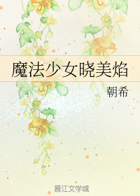 魔法少女晓美焰