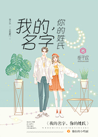 你的姓氏小说