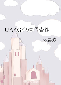 uaag空难调查组剧透排雷