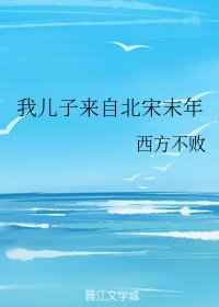 我的儿子来自北宋末年47柠檬