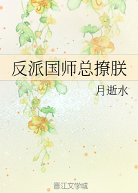 反派国师总撩朕小说