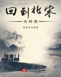 回到大宋当明君