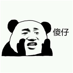 傻子词语