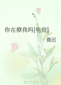 你在撩我吗电竞全文免费